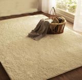 丝毛地毯卧室床边地毯铺满客厅简约丙纶纯色茶几地毯地垫家用定制