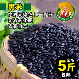 农家优质新黑米 补血黑米贡米黑珍珠 有机杂粮250g真黑香米无染色