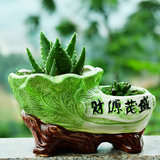 多肉陶瓷花盆创意个性简约盆栽植物花盆异形连体双口中大号陶盆器