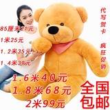 泰迪熊大熊公仔毛绒玩具熊布娃娃大号抱抱熊生日礼物女1.6米1.8米