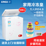 XINGX/星星 BD/BC-106E小冰柜 立式家用小型冷柜冷冻冷藏冰柜
