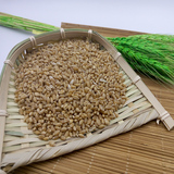 2015年小麦|山小麦|小麦草种子、带皮小麦面粉原料五谷杂粮500克