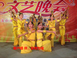 千手观音演出服装新款成人表演服装古典舞民族表演舞蹈服女泰国