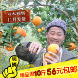 正宗赣南脐橙10斤包邮江西特产脐橙新鲜孕妇生鲜水果农家现摘橙子