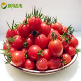 麟海蔬果杭州同城配送 新鲜水果圣女果小西红柿小番茄500克满包邮