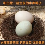 【去火补叶酸】北京散养鸭蛋 农家新鲜鸭蛋 生鸭蛋 青绿皮土鸭蛋