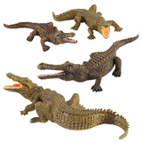 仿真鳄鱼模型PVC塑胶两栖爬行野生海洋动物早教道具儿童玩具礼品