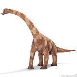 德国品牌思乐Schleich腕龙S14515仿真动物侏罗纪恐龙塑料模型玩具