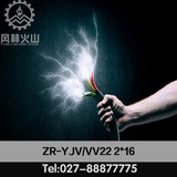 厂家直销铠装2等芯16平方ZR-YJV/VV22 2*16铜芯国标电线电缆