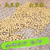 豆浆专用 非转基因 纯天然农家 农户自种有机小黄豆 可发豆芽包邮