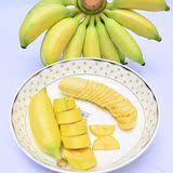 海南特产新鲜水果皇帝蕉.香蕉.小米蕉.热带水果5斤装  包邮