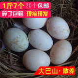 四川特产 新鲜土鸭蛋 农家散养土鸭蛋 纯天然生态鸭蛋 有机鸭蛋