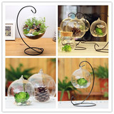 满18包邮 微景观生态瓶 苔藓花瓶 透明悬挂玻璃吊盆 多肉玻璃花盆