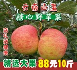 【精选大果】云南野生正宗丑苹果 红富士冰糖心新鲜水果甜脆包邮