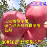 新鲜水果山东烟台栖霞特产红富士苹果胜冰糖心80全国包邮产地直发