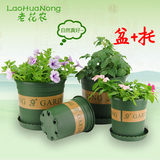 老花农 加仑盆1-1.5-2-3-5加仑盆 塑料圆形花盆绿植盆栽带托盘