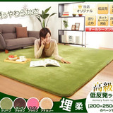 丁 地毯客厅现代简约卧室日式沙发床边地毯北欧茶几垫定制