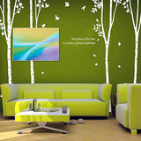 时光树林 墙贴纸个性时尚卧室客厅大型植物电视背景墙墙贴纸画zw