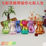 风信子七彩花瓶 透明玻璃花瓶 水培种植器皿盆景瓶批发