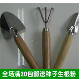绿之缘花木--不锈钢小铲子/耙/锹 工具 园艺工具三件套装种花工具