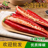 【春生农科】新鲜蔬菜大辣椒 农家产品 红杭椒 绿色蔬菜红大辣椒