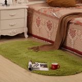 地毯客厅简约现代欧式卧室塑料地毯 家用床边可爱加厚家用可机洗