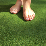 爱绿草坪短毛曲草丝加厚超密脚感弹户外人造仿真草坪地毯平整耐磨