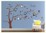 第三代可移墙贴  透明材料墙贴 AY9063B棕色杆棕树叶照片树