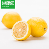 【誉福园】现摘四川安岳黄柠檬中果 新鲜水果 2斤装 买2份多送1斤