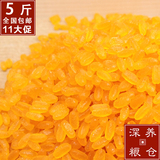 玉米胚芽米速食米 五谷杂粮玉米粥玉米粒东北特产黄金米 5斤 包邮