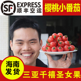 海南三亚 新鲜水果 海南特产千禧圣女果樱桃小西红柿小番茄5斤装
