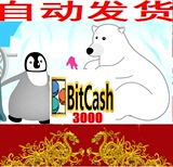 四钻 自动发货 bitcash EX 礼品券充值卡 3000pt点券（3千日元）