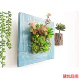挂在墙上的植物阿楹 实木制壁挂仿真多肉植物花盆 挂墙上盆栽垂直