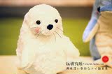 日本海洋毛绒公仔 软萌软萌的海豚海豹 智能 音乐 电动（ 两款选