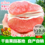 【预售5斤礼盒】平和红心柚子红肉蜜柚 新鲜孕妇水果甜西柚沙田柚