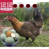 麻城土特产正宗新鲜土鸡蛋农家散养草鸡蛋柴鸡蛋食30个包邮送2个