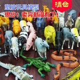 恐龙家禽玩具模型套装森林仿真动物模型塑料塑胶儿童男孩礼品