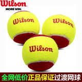 正品wilson威尔胜网球儿童训练过渡网球137300儿童网球练习用