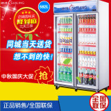 穗凌LG4-582M2F冰柜商用立式饮料柜双门冷藏风冷保鲜展示柜啤酒柜