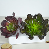 仿真多肉植物人造 假绿植绿色室内装饰 塑料大黑法师植物