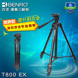 百诺T-800EX三脚架便携微单数码单反相机DV摄像机三角架T800EX