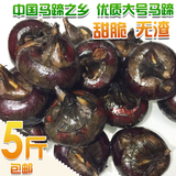 淮安特产农产品水产品马蹄果荸荠有机新鲜水果甜脆5斤 绿色食品