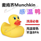 【现货】美国进口Munchkin麦肯齐婴儿洗澡玩具测水温鸭洗澡鸭感温