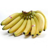 哈尔滨同城配送新鲜水果,进口香蕉 170/箱/27斤