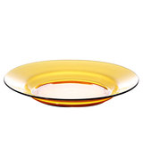 DURALEX法国进口钢化玻璃盘子欧式家用饺子盘 耐热大菜盘2只