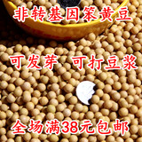 2015新山西武乡农家小黄豆 豆浆专用黄豆 非转基因大黄豆发芽豆
