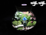情人节微景观生态玻璃花瓶带灯 DIY创意办公室盆栽植物新年礼物