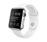 Apple/苹果 Apple Watch 不锈钢表壳 运动表带 苹果手表标准版
