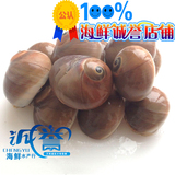海鲜鲜活香螺批发生鲜料理野生大香螺鲜活水产海产品新鲜4斤包邮