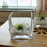 限时促销正方形玻璃器皿 透明方缸绿萝 睡莲 铜钱草 水培花瓶